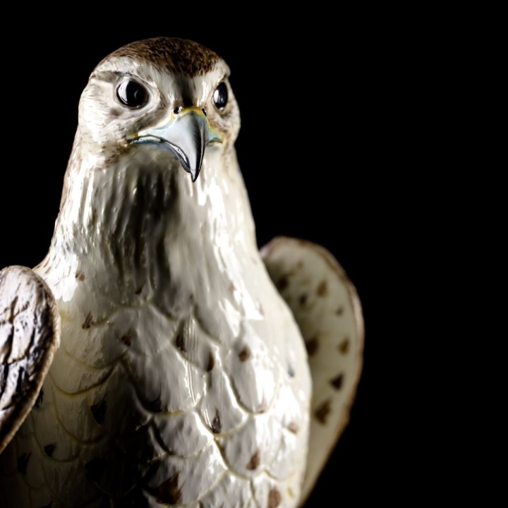 Saker Falcon - Brown & Gold