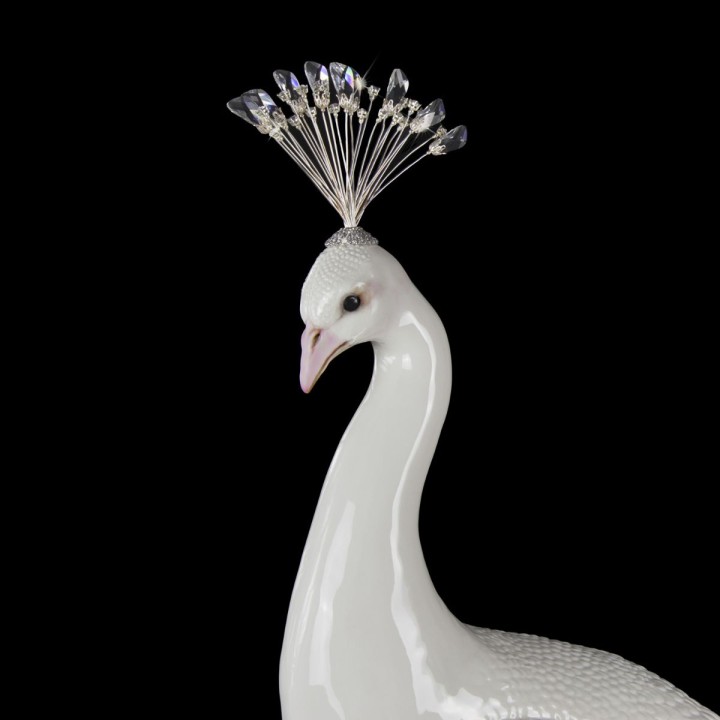 Royal Peacock with Swarovski® - White